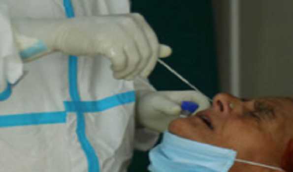 Marathwada region reported 515 fresh COVID-19 positive cases