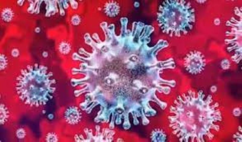 Covid-19: 33 new cases detected in Kolhapur