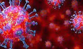Covid-19: 30 new cases detected in Kolhapur