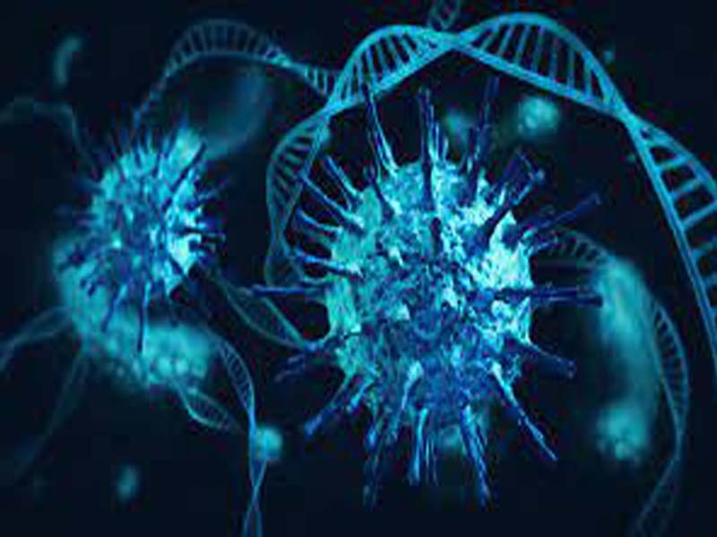 US reports 10 cases of vaccine resistant Brazil Coronavirus variant