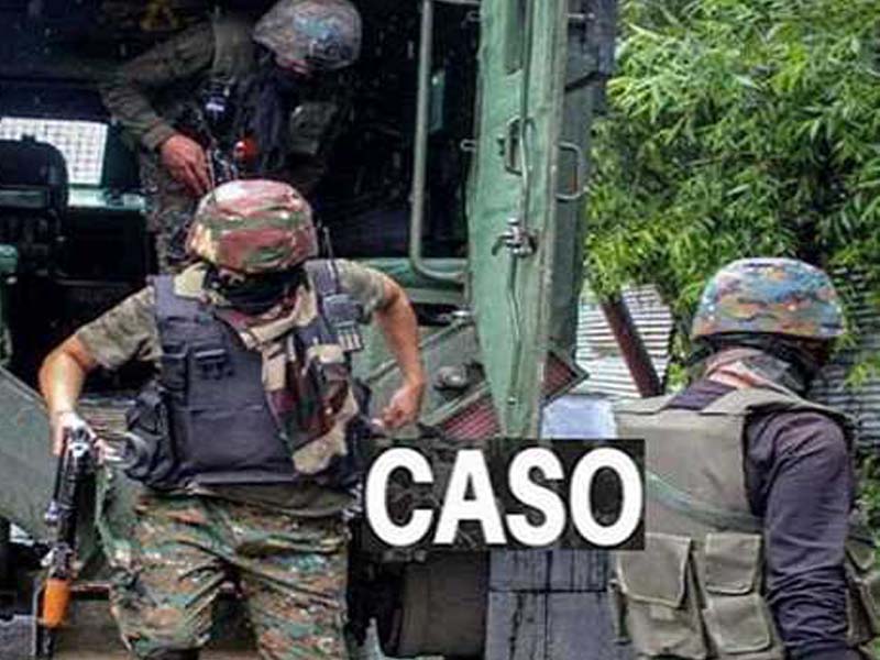 Security forces launch CASO in south Kashmir