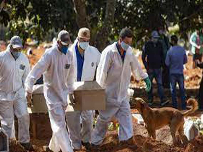 Death toll from COVID-19 in Brazil rises by record 1,910 over past day