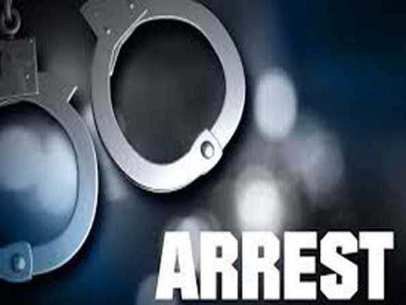 Seven HM militant associates arrested, grenades recovered in south Kashmir