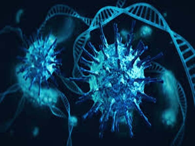 Production capacity beats efficacy in Global COVID-19 Vaccine race
