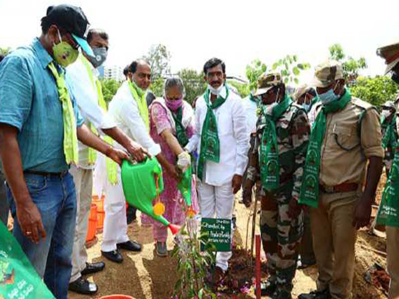 Over 217 cr seedlings planted in Telangana under Haritha Haram programme : Minister