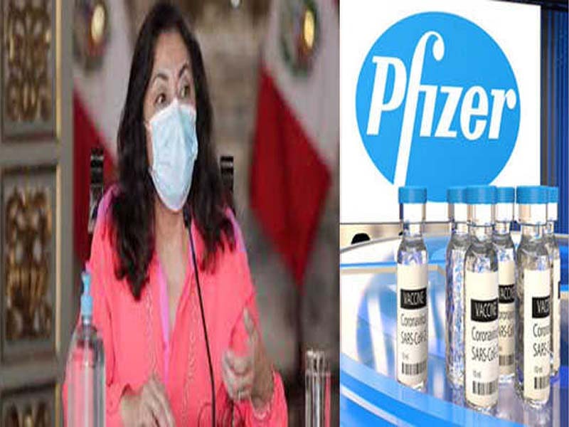 Peru receives 1st batch of Pfizer vaccine against Covid-19