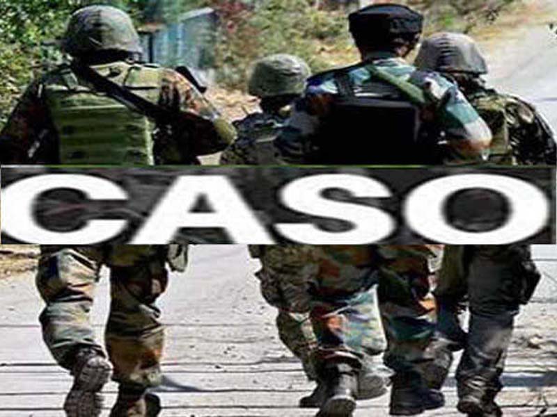 Security forces launch CASO in south Kashmir