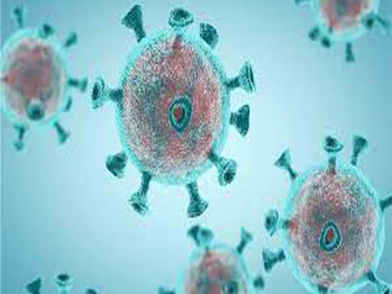 Immunity in those who recovered from COVID-19 lasts about six months