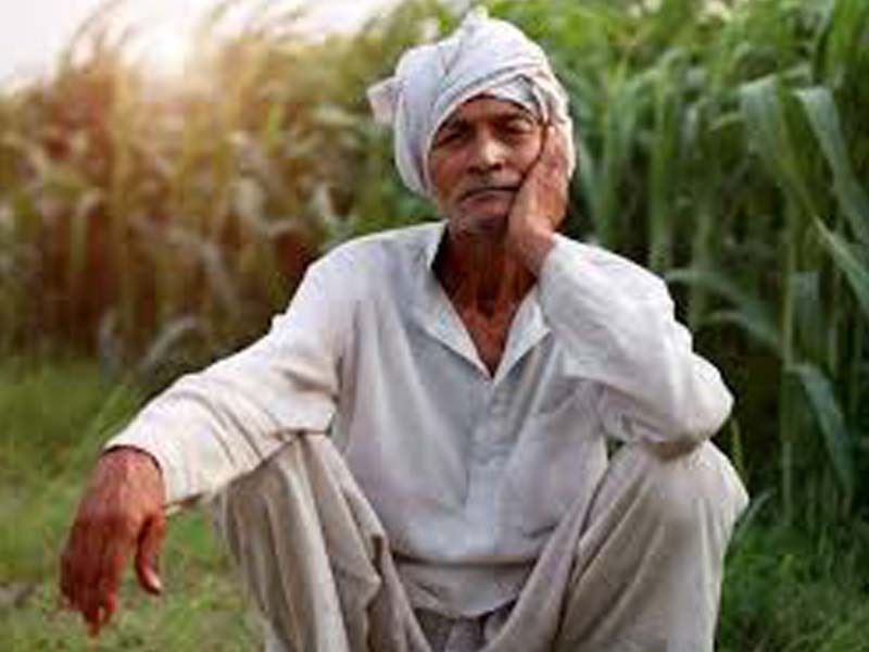 Horticulture farmers bear the brunt of Corona restrictions