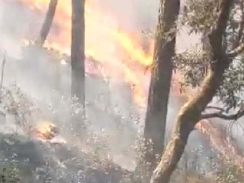 Vibrant public spheres based on democratic forest rights needed to prevent wildfires: iGP