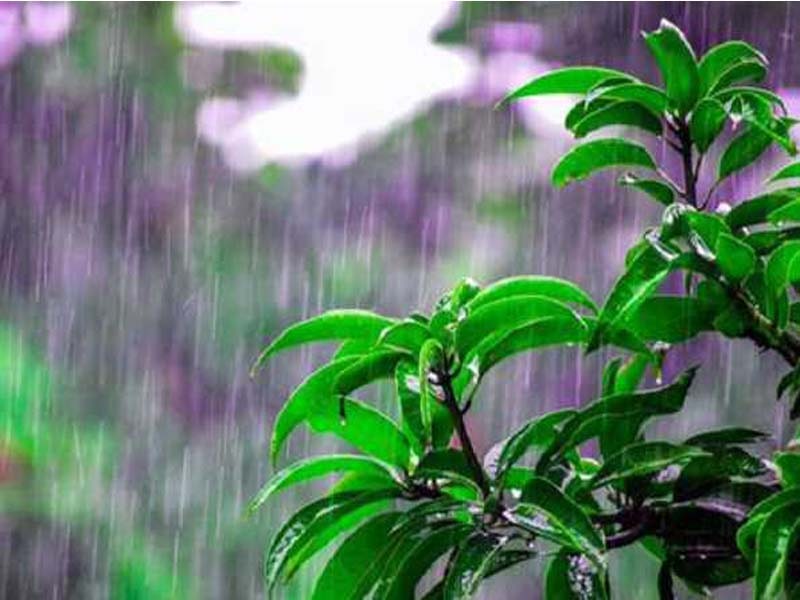 India to have normal monsoon in 2021
