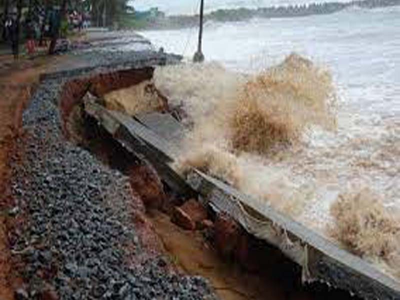 LoP of Mah council demands immediate relief for cyclone-hit Konkan region