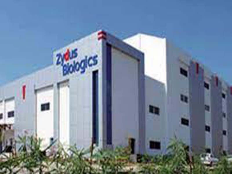 Zydus seeks DCGI approval to undertake clinical trials for monoclonal antibodies cocktail