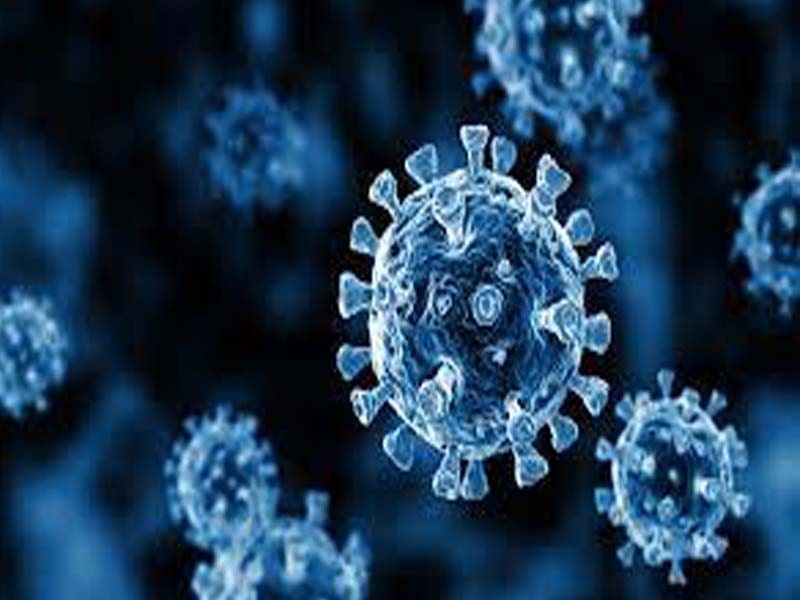 Six district figures among high virus loaded area in HP