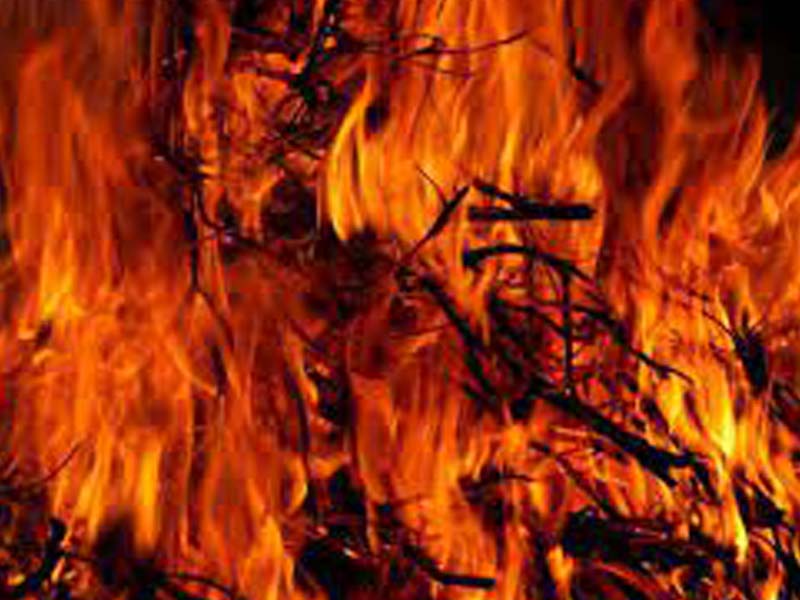 Greek fire services localize massive wildfire west of Athens