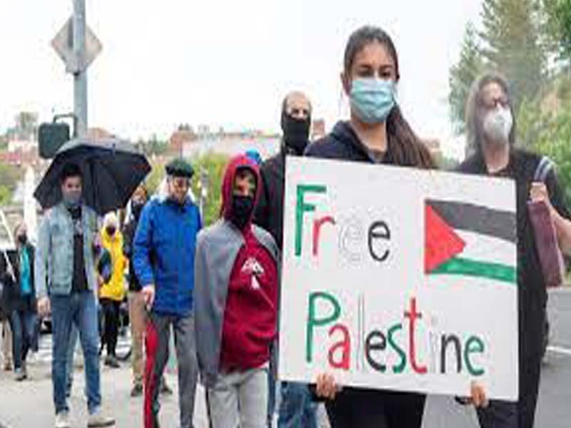 Dozens rally in Moscow in solidarity with Palestine