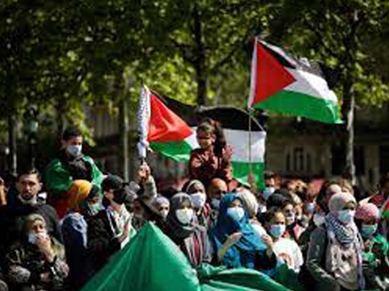 Some 1,000 people rally in support of Palestine in Paris