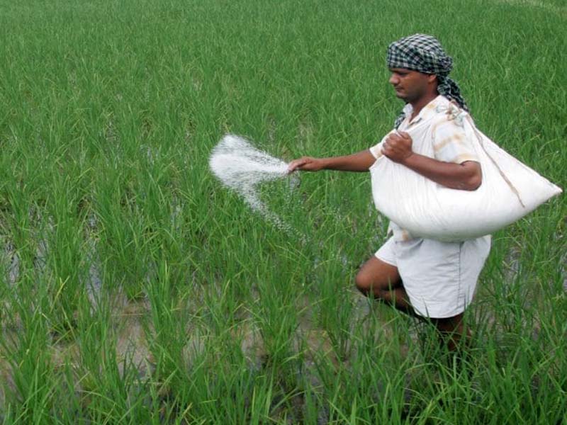 India Pesticides Limited IPO to open on June 23