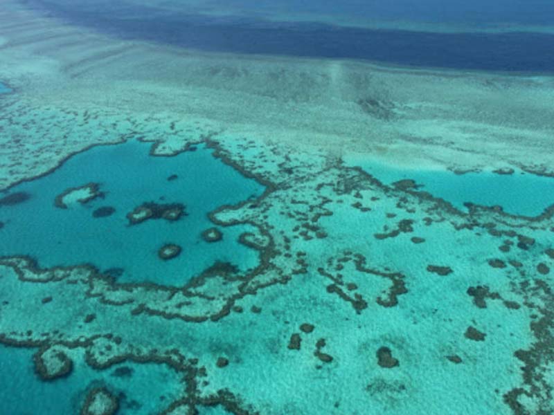 Australia to challenge UNESCO proposal to list great barrier reef as ‘in danger’- Minister