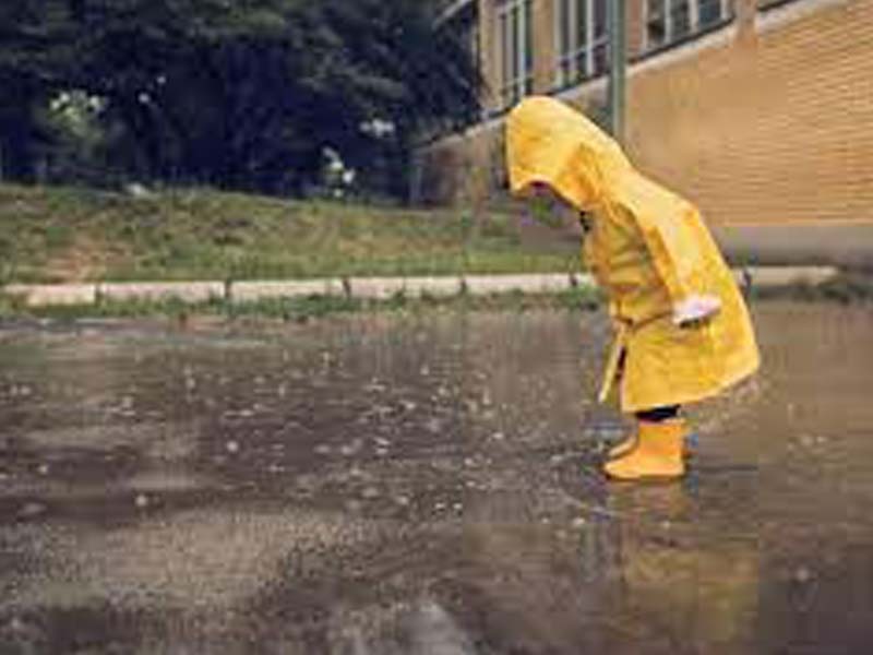 South West Monsoon further advances into some parts of Telangana