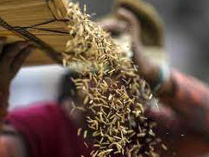 Despite COVID, UP Govt purchases 41.56 LMT of Wheat from 8.83 lakh farmers