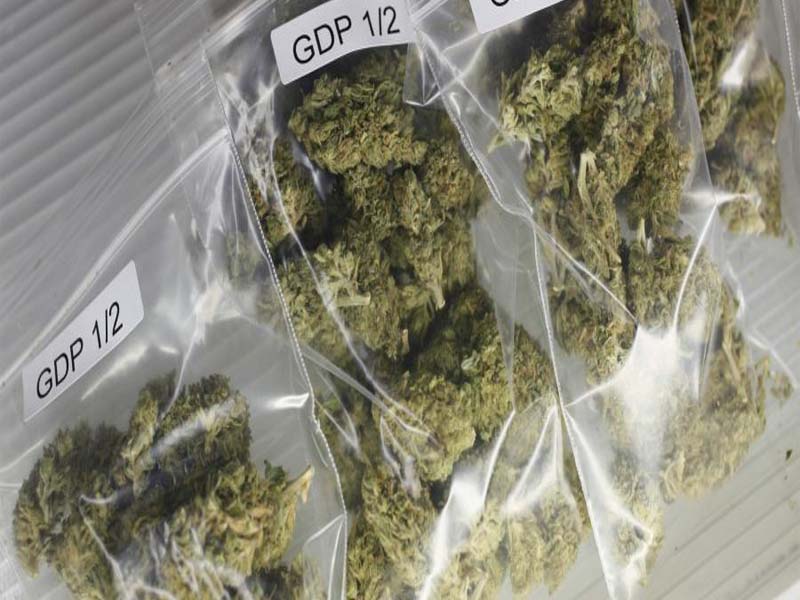 Two held for smuggling Ganja from AP to Kerala
