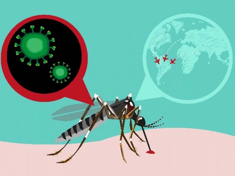 Kerala reports 1st case of Zika virus infection