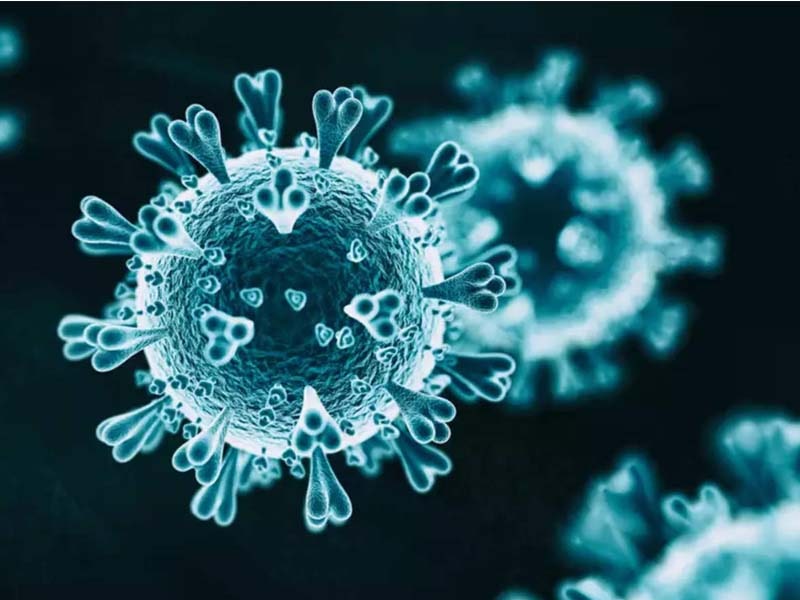 Goa reports 81 new cases of Covid 19, 2 deaths