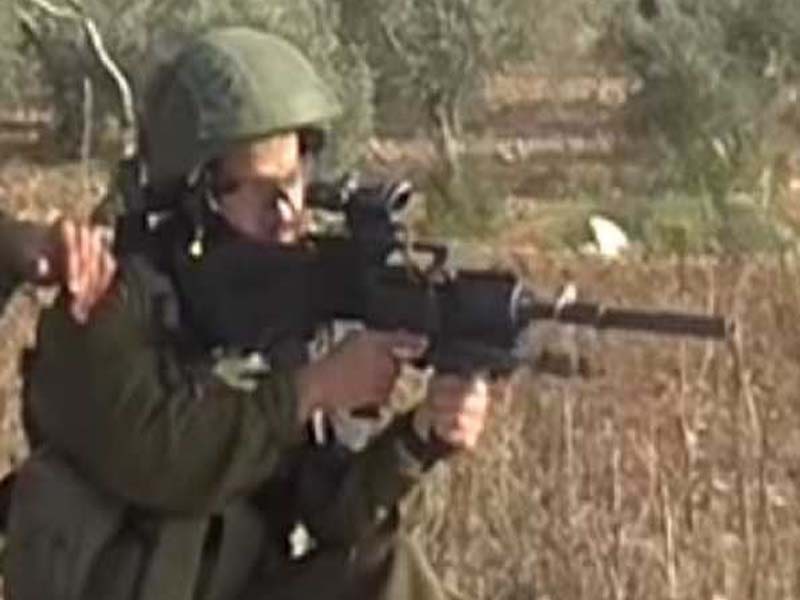 Almost 300 Palestinians injured in clashes with Israeli forces in West Bank – Red Crescent