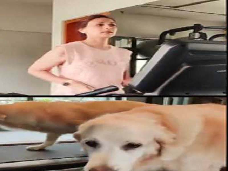 Sonali Bendre & her dog set fitness goals to raise funds for children with cancer