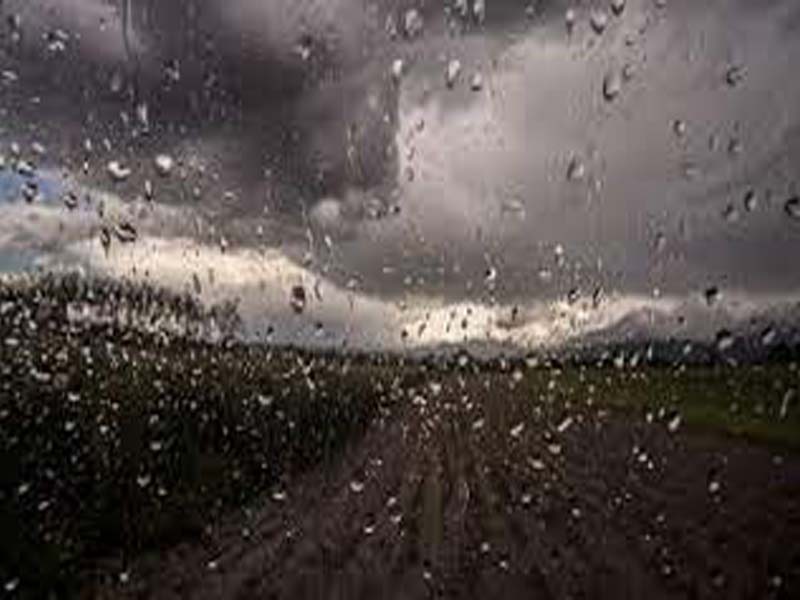 Marathwada gets good rain this year