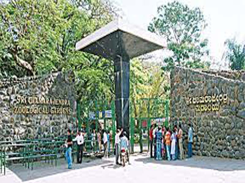 Tourists flock Myuru Zoo after lifting lockdown: Financial position improves