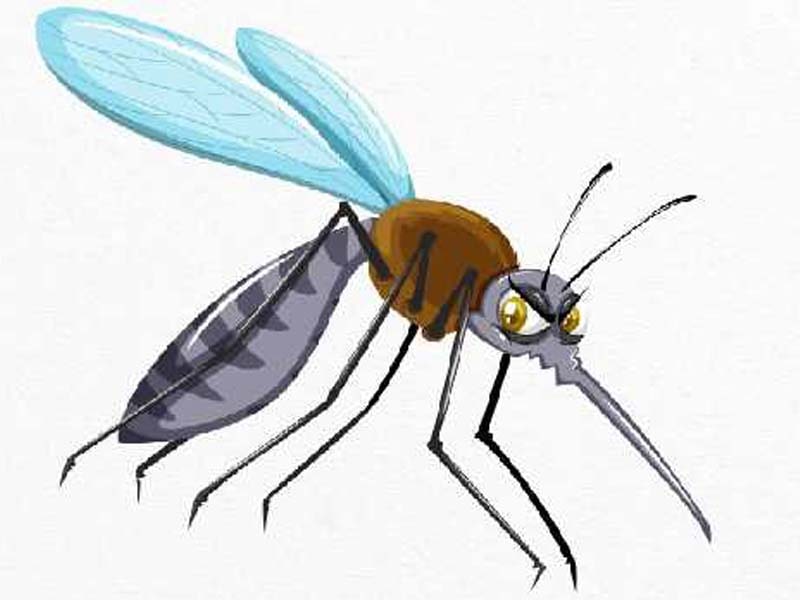 Maharashtra reports first case of Zika virus