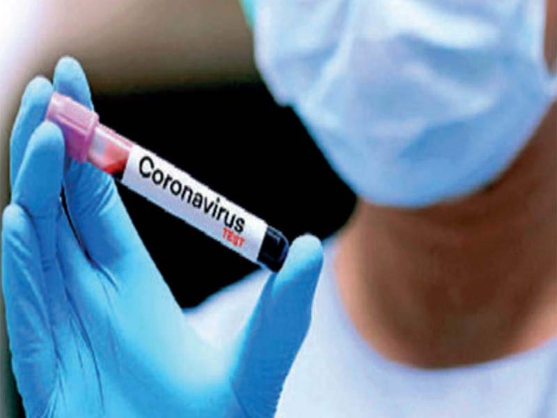 HP reports 229 new COVID-19 cases