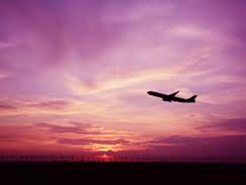Int’l charter flights will start soon: Goa CM