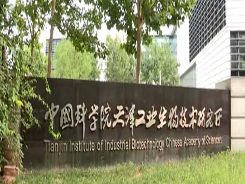 Chinese scientists for the first time synthesize starch from carbon dioxide
