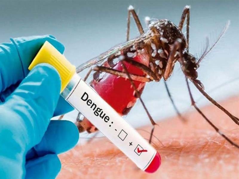 Dengue patient from J&K dies in Punjab during treatment, cases swell