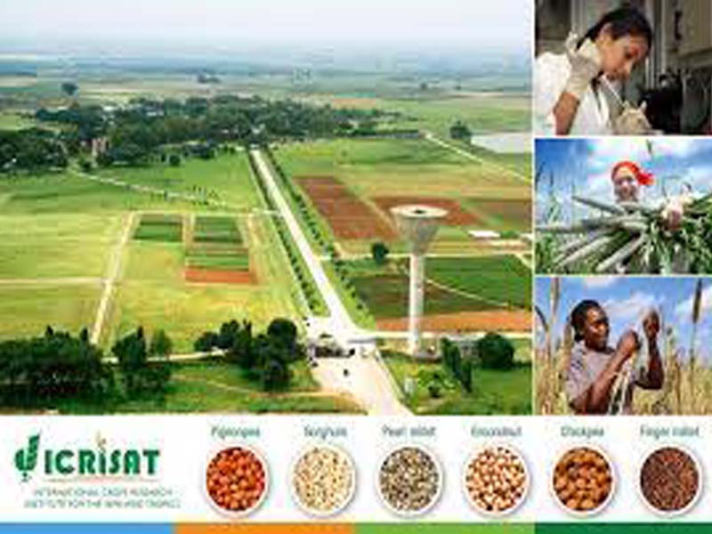 ICRISAT-ANEMIA TWO LAST HYDERABAD