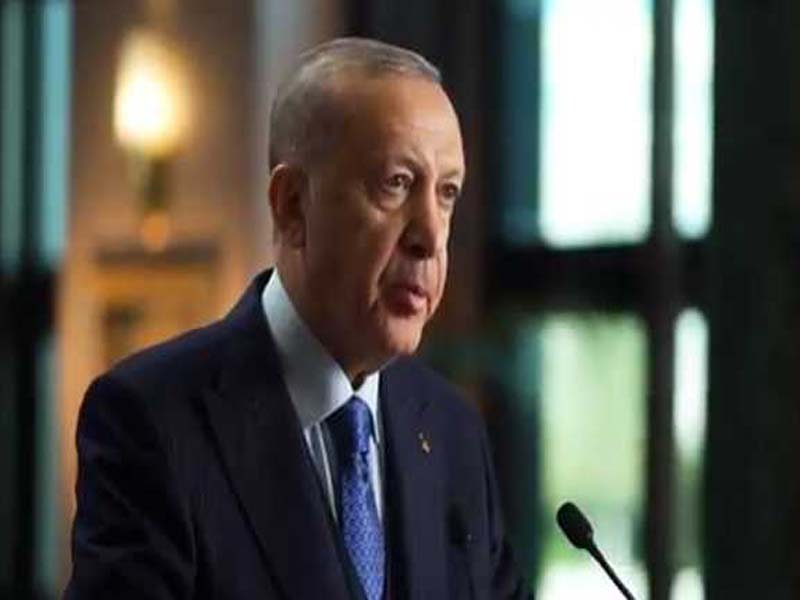 Turkey might be placed on FATF grey list for failing to combat terror financing