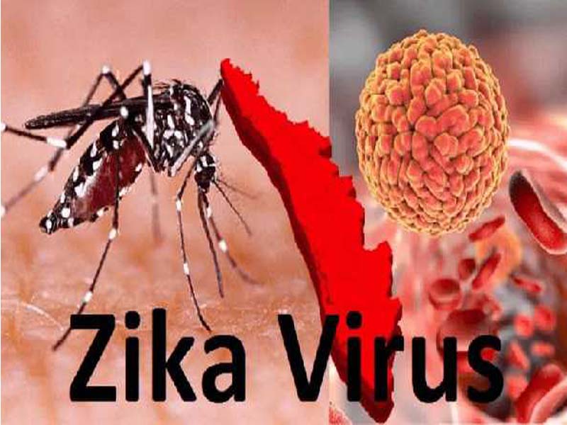 Centre rushes expert team after UP registers Zika case