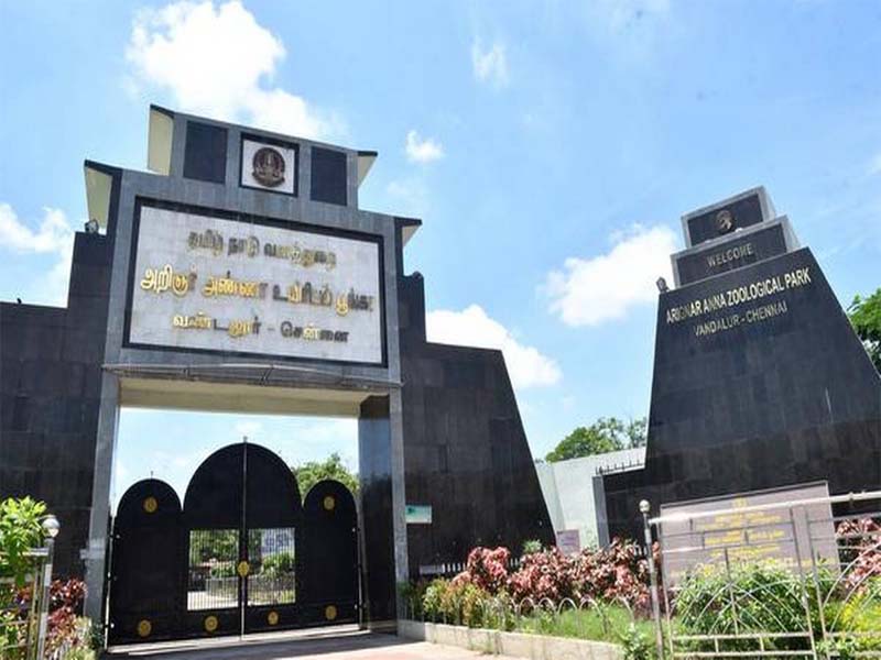One lioness, 5 ostriches die in Vandalur Zoo