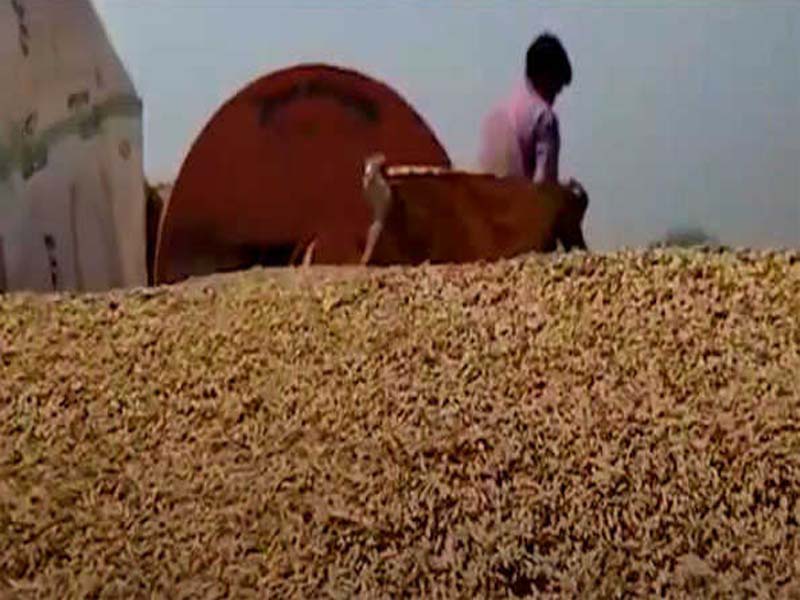 30,000 farmers have benefited from paddy procurement in the Kharif season
