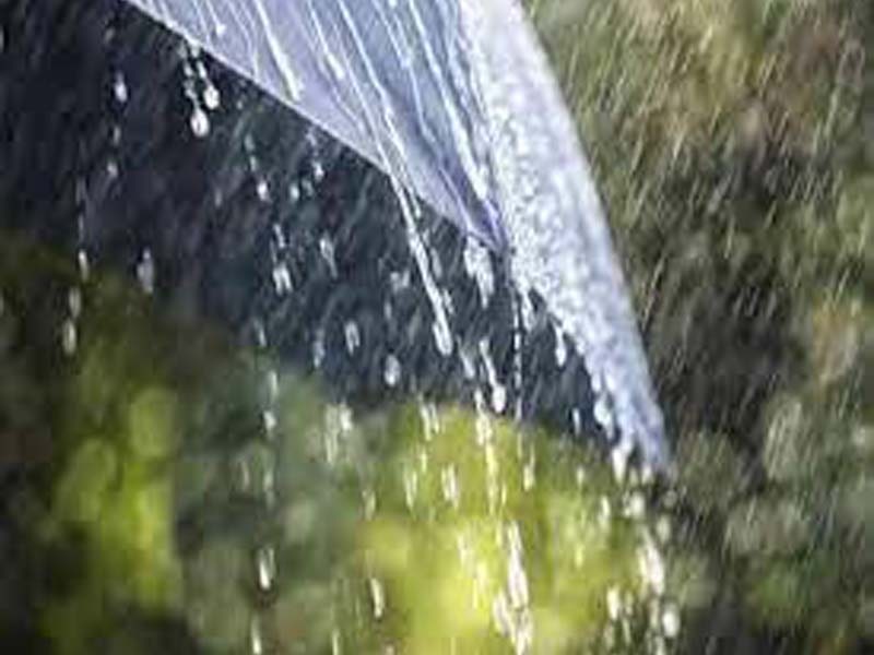 Thunderstorm with lightning likely in Telangana in next 48 hours : Met