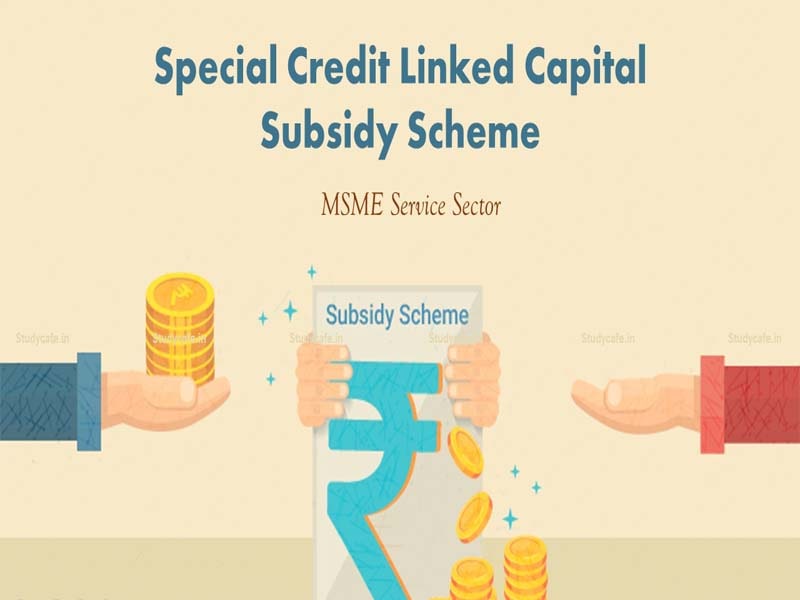MSME Min Rane launches credit-linked capital subsidy scheme for services sector