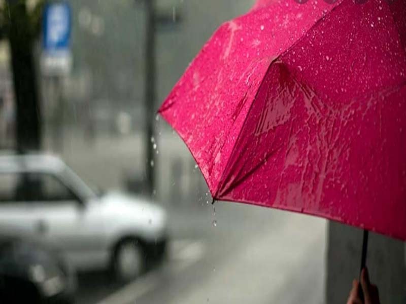Heavy rain likely in Telangana in next 24 hours : Met