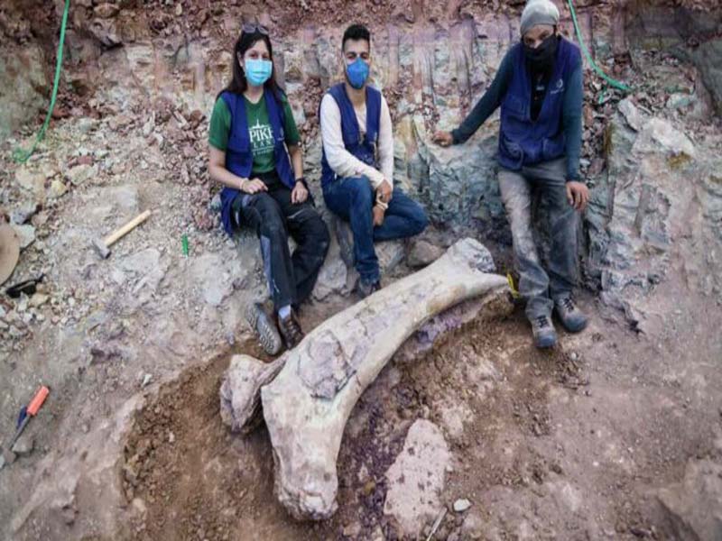 Brazilian scientists find fossils of new dinosaur species who had no teeth – Reports