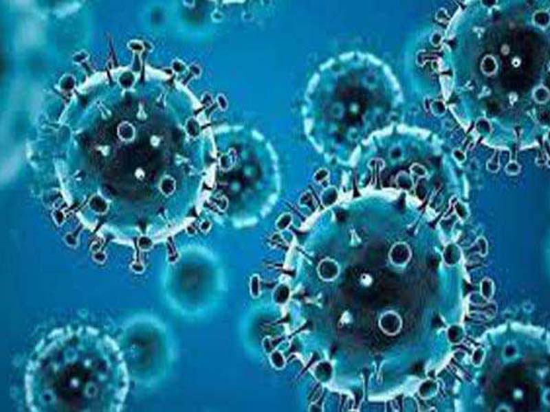 Brazil reports two cases of Omicron Covid-19 variant, first in Latin America