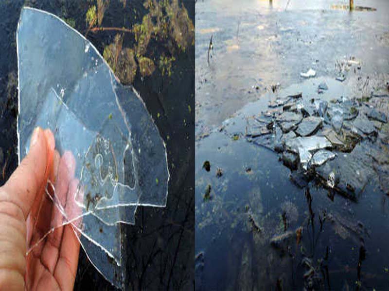 Parts of famous Dal Lake frozen as temperature plunges in Kashmir