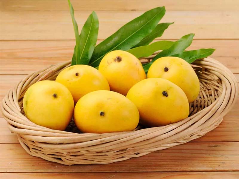 India to restart mango exports to US from March, exporters bullish