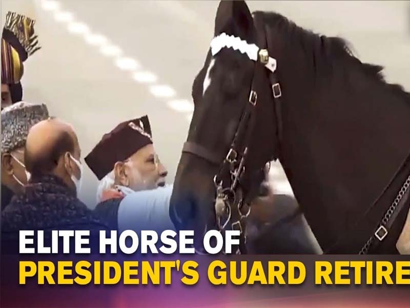 Randeep Hooda wishes elite President’s Bodyguard mount Virat ‘happy retirement’